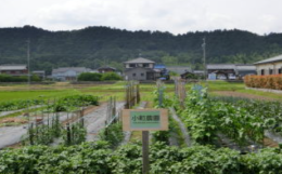 グループホームグループホーム花咲小町の施設画像